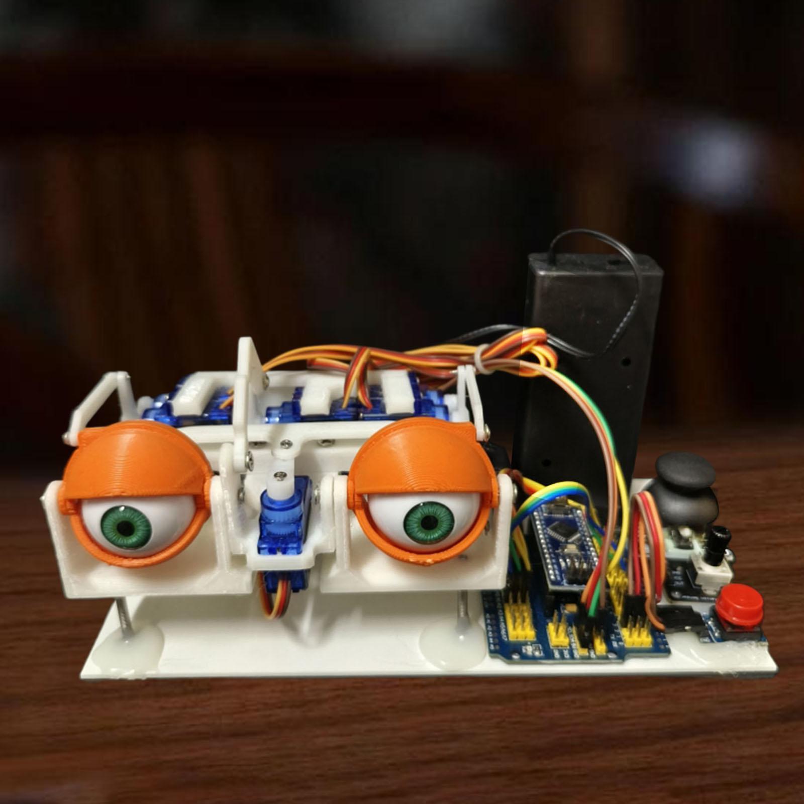 Animatronic Eyes for Stem Educ - Science Project Robot 评论和价格